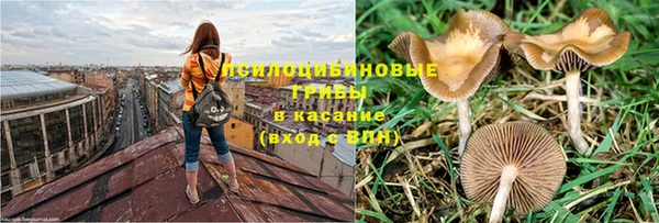 герыч Богородицк
